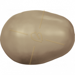 Swarovski 5821 nacré drop 11*8mm - Bronze Pearl