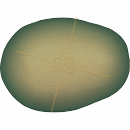 Swarovski 5821 nacré goutte11*8mm - Iridescent Green Pearl