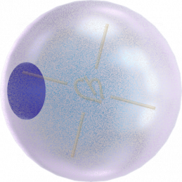 Iridescent Dreamy Blue Pearl 2026 Swarovski 6mm