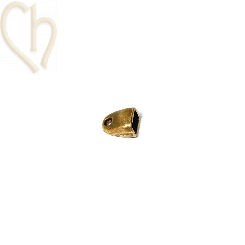 Embout pour cuir Regaliz