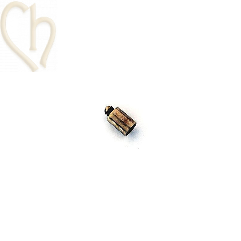 Embout pour cordon 6mm