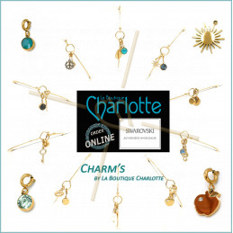 Bracelet Steel Charm's style Gold Plated