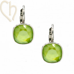Kit de Boucles d'oreilles et/ou Bague reglable élastique avec support pour 4470 10mm Lime