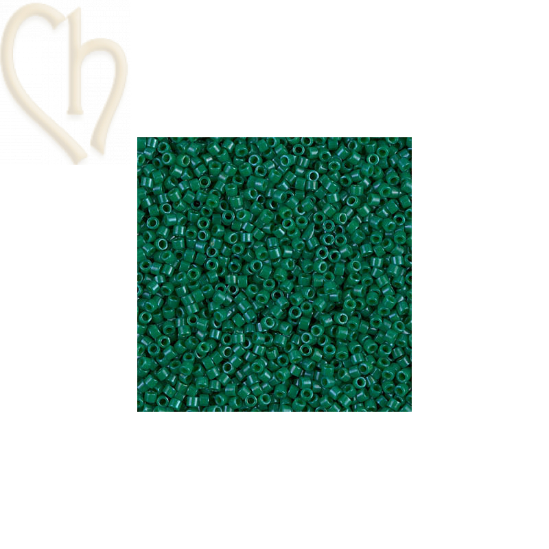 Opaque Dyed Green - Miyuki Delica 11/0 5 gr. DB656