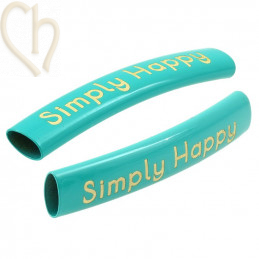 Intercallaire passe-cuir metal courbé 35mm - Turquoise