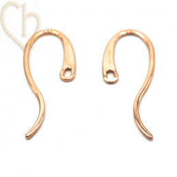 Crochets d'Oreilles Élégants en Acier Inoxydable Rose Gold