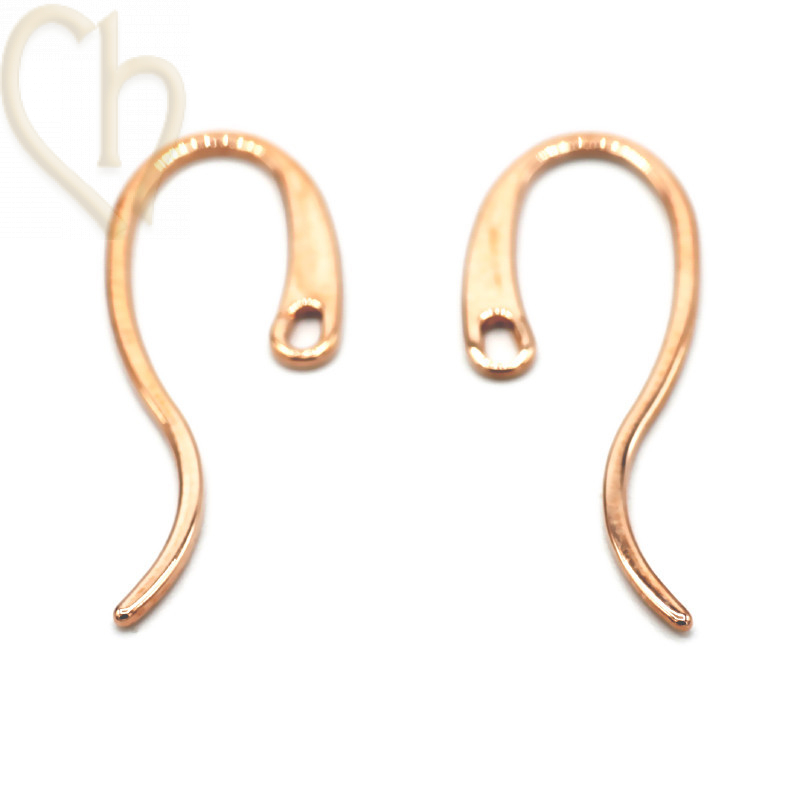 Crochets d'Oreilles Élégants en Acier Inoxydable Rose Gold