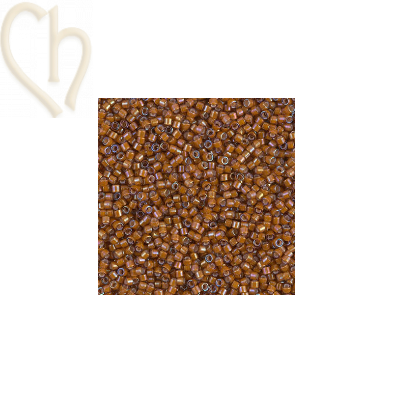 Miyuki Delica 11/0 Kralen | Boutique Charlotte