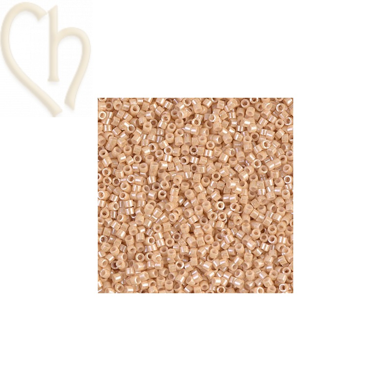 Miyuki Delica 11/0 Beads | Boutique Charlotte