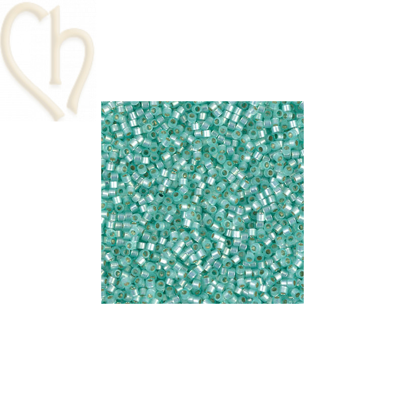 Miyuki Delica 11/0 Perles Lt. Aqua Green Dyed s/l  DB0626 | Boutique Charlotte