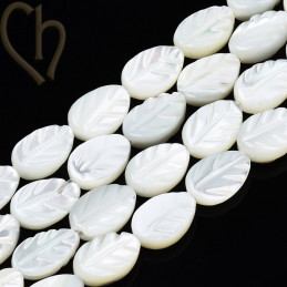 Blaadje Parelmoer kraal 9*6mm - Boutique Charlotte