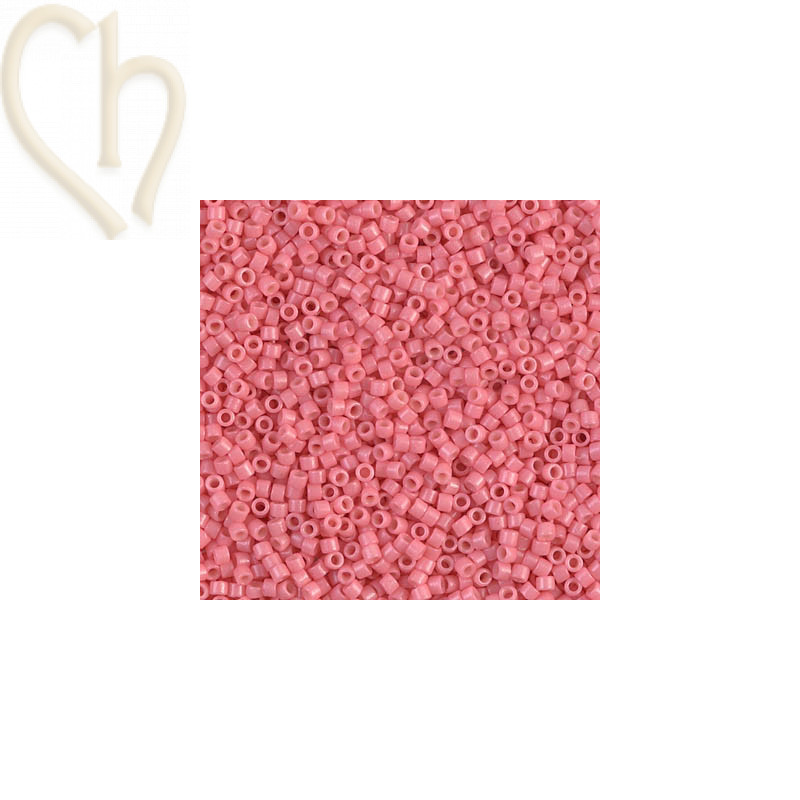 Miyuki Delica 11/0 Perles Opaque Dyed Guava Duracoat - DB2115 | Boutique Charlotte