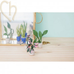 Cernit Starter Mini Kit Plantes – Coffret Créatif Pâte Polymère | Boutique Charlotte