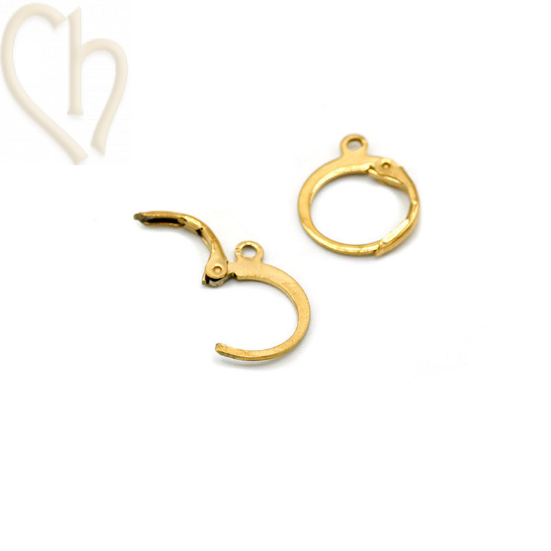 oorbellen Stainless Steel Gold Plated rond