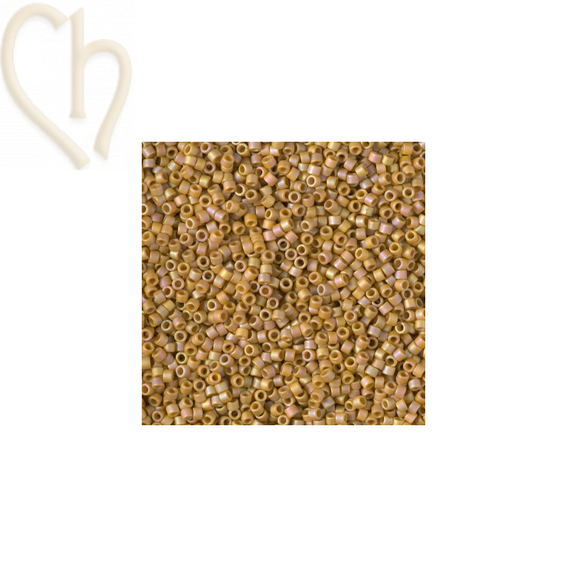 Miyuki Delica 11/0 Perles Duracoat Galv. Matte Honey DB2303 | Boutique Charlotte