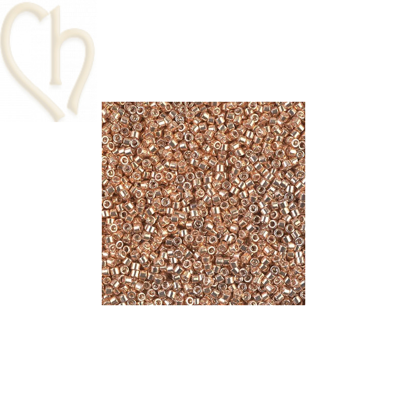 Delica 11/0 5 gr. Dore Cl. Galvanized