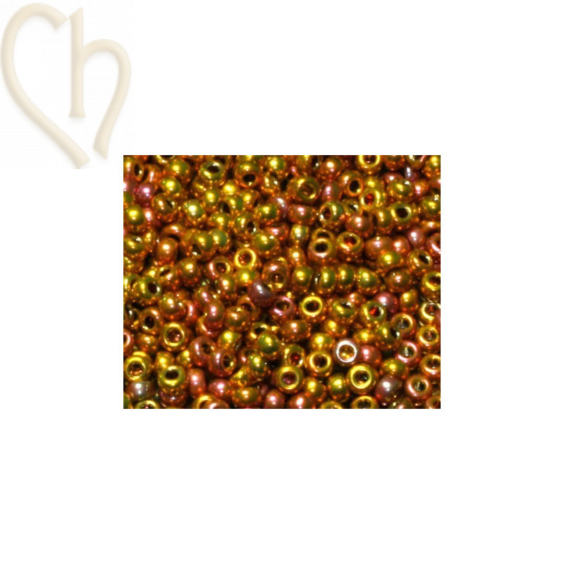 rocaille 11/0 24kt gold iris