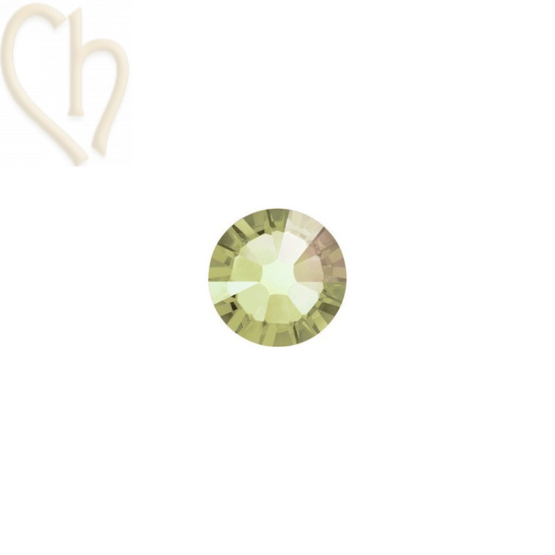 kleefstrass SS20 4.8mm