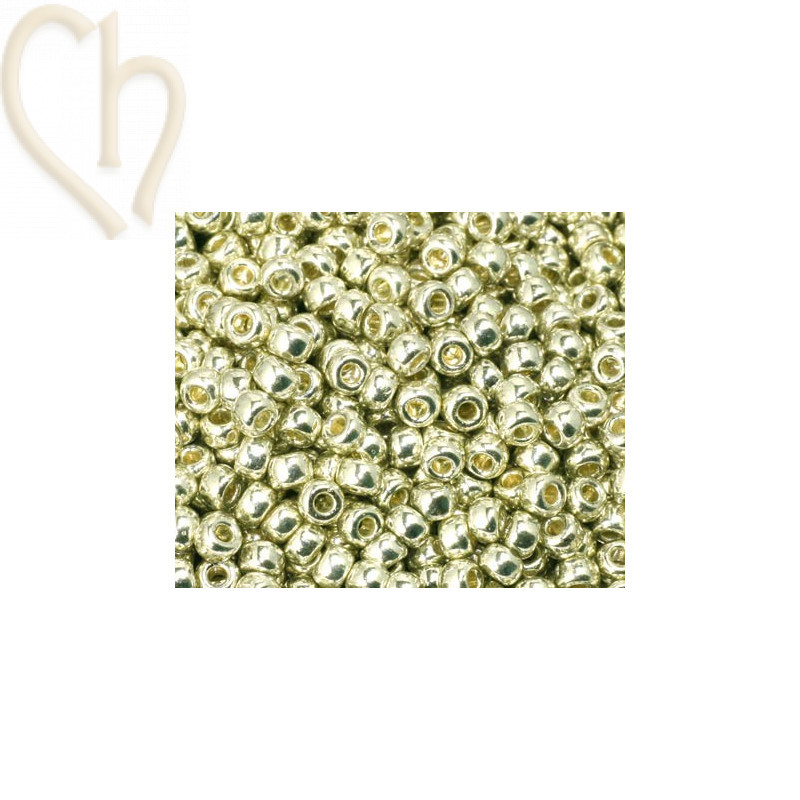 Rocaille 8/0 galvanised silver