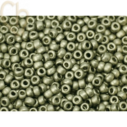 Rocaille 11/0 Miyuki Nickel Steel Mat