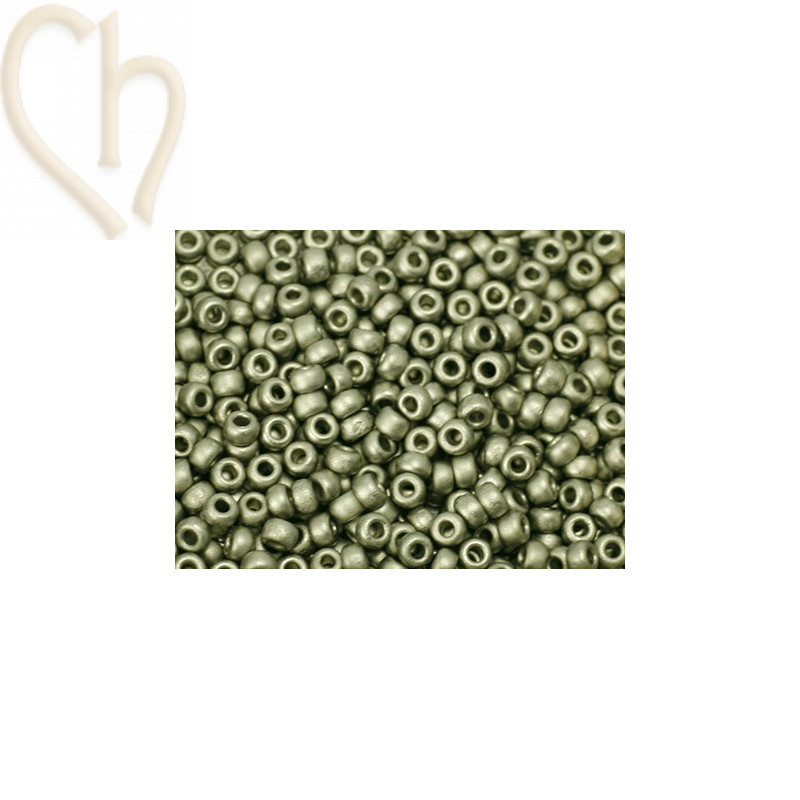 Rocaille 11/0 Miyuki Nickel Steel Mat