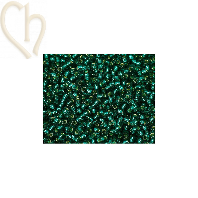 Rocaille 11/0 Canard int. Zilver