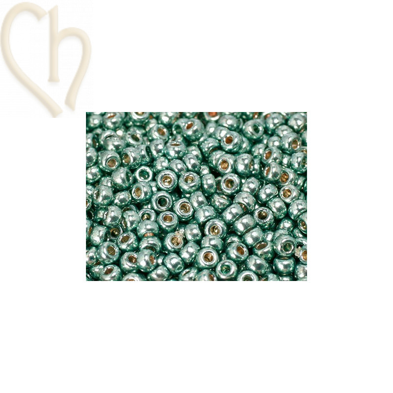 Rocaille 8/0 Dark Seafoam 