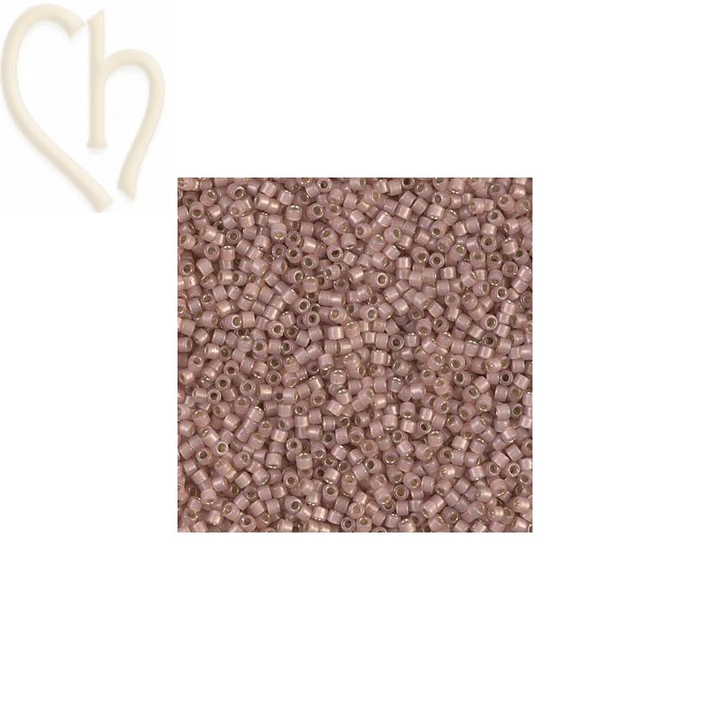 Delica 11/0 5gr.  Opaque Shell S/L