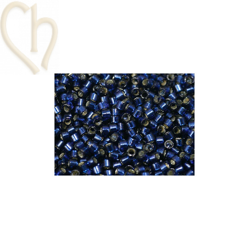 Delica 11/0 5gr.  Duracoat S/L Navy