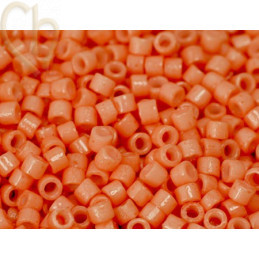 Delica 11/0 5gr.  Opaque dark corail