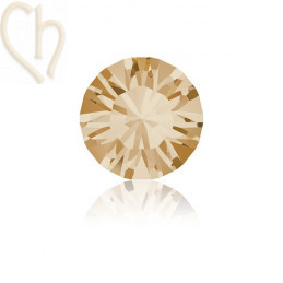 1028 - PP13 - 2mm Golden Shadow GSHA