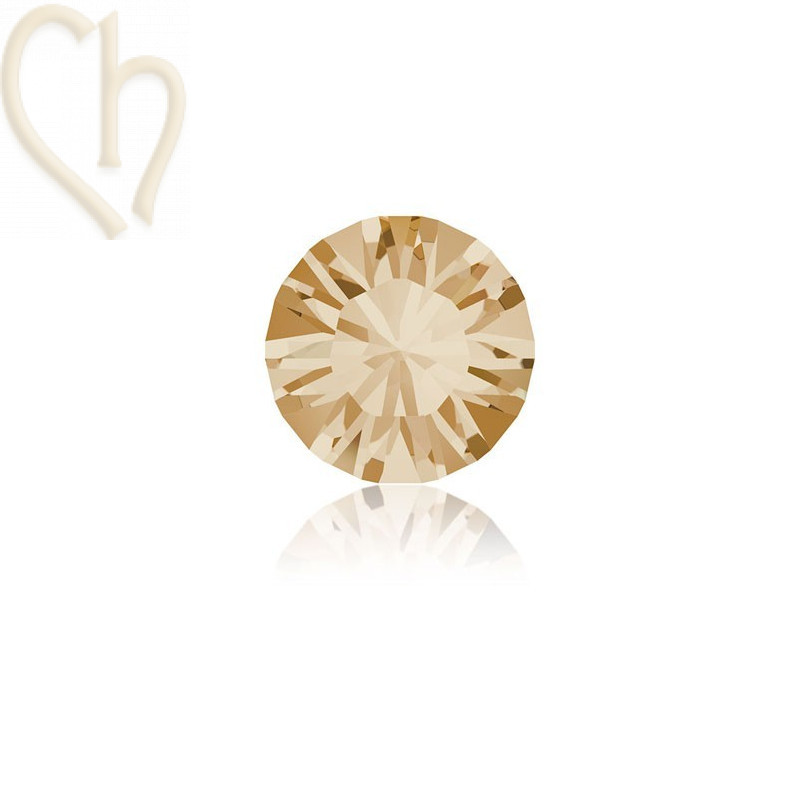 1028 - PP13 - 2mm Golden Shadow GSHA