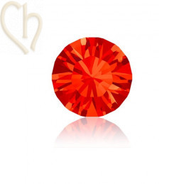 1028 - PP13 - 2mm Hyacinth 236