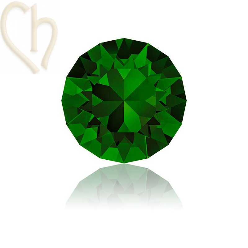 1088 - SS24 - 5.4mm Dark Moss Green 260