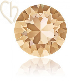 1088 - SS24 - 5.4mm Golden Shadow GSHA