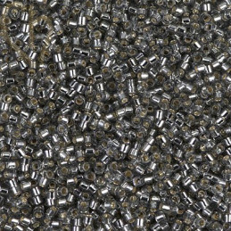 Delica gris foncé silverlined