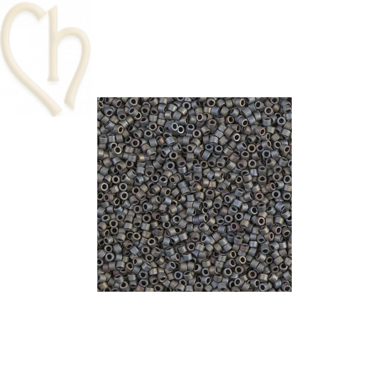 DELICA BD MATT MTLC SLVER GREY