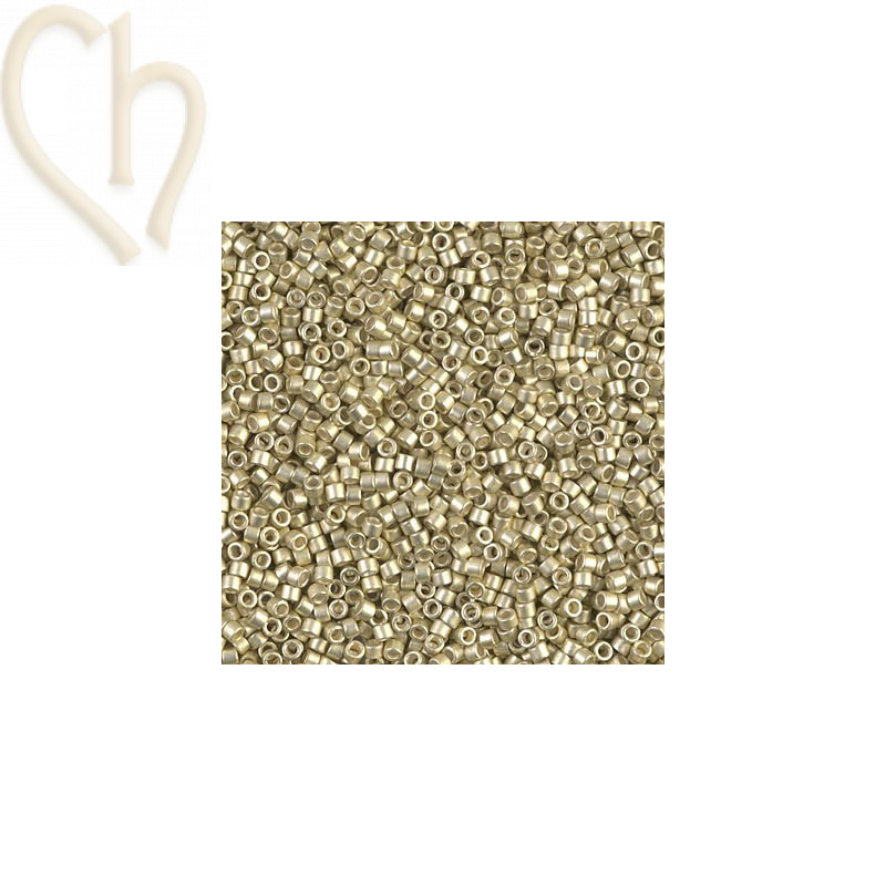 Delica GALV SF SILVER 