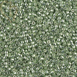 DELICA BD GALVANIZED LT.GREEN