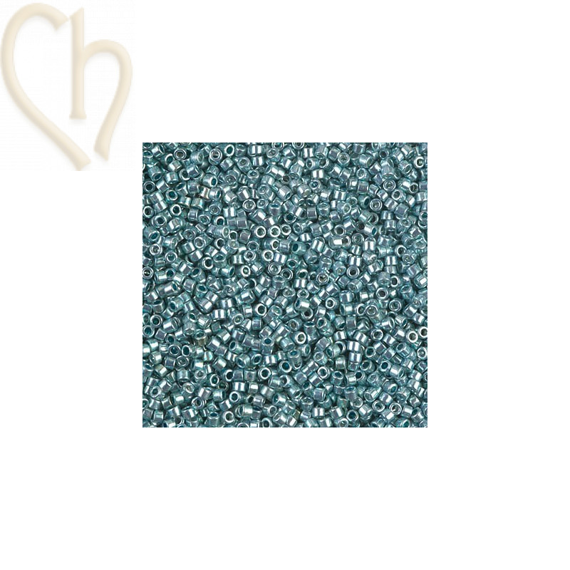 DELICA GALVANIZED GREY DYED