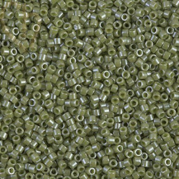 DELICA OP CACTUS LUSTER