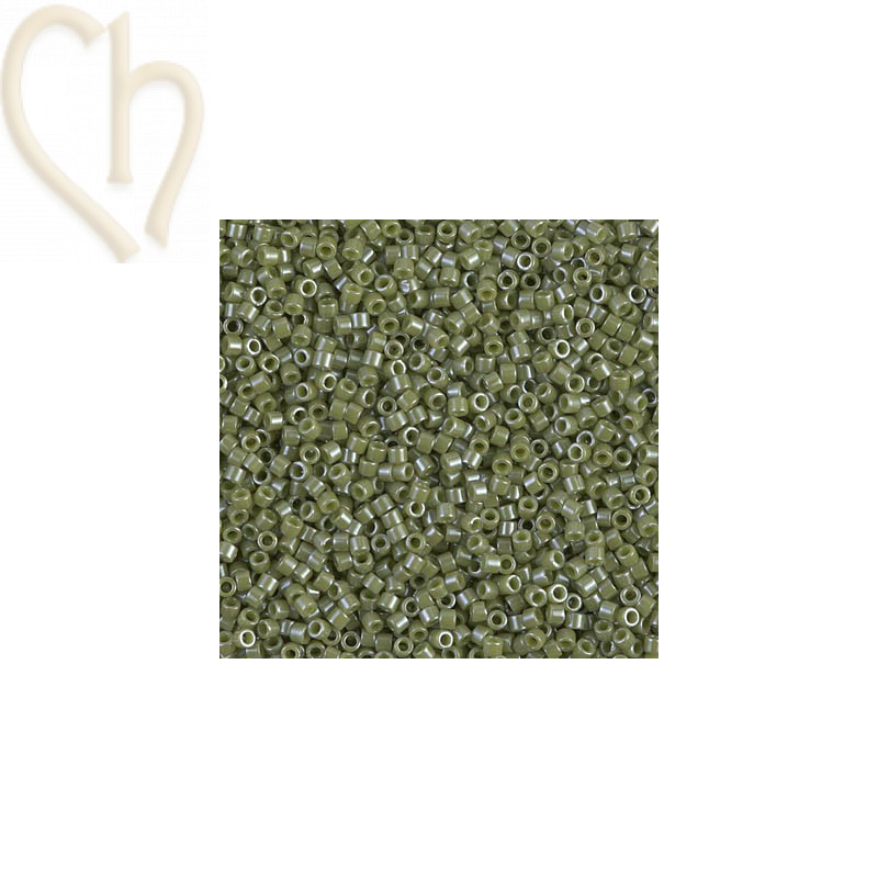 DELICA OP CACTUS LUSTER