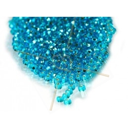 Rocaille 11/0 Light Turquoise SilverLined
