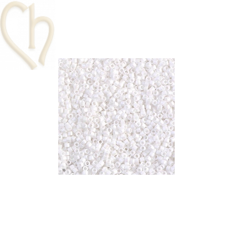 Delica blanc opaque mat