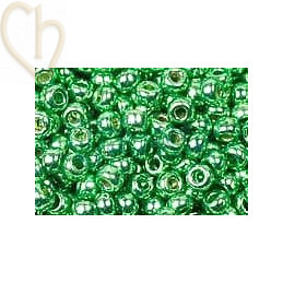 11/0 DURACOAT GALVANIZED DK MINT GREEN