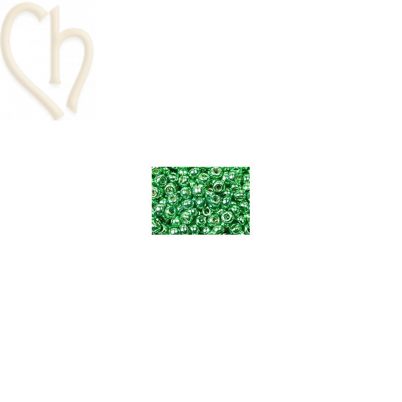 11/0 DURACOAT GALVANIZED DK MINT GREEN