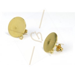 Oorbellen disk 14mm met ring gold plated