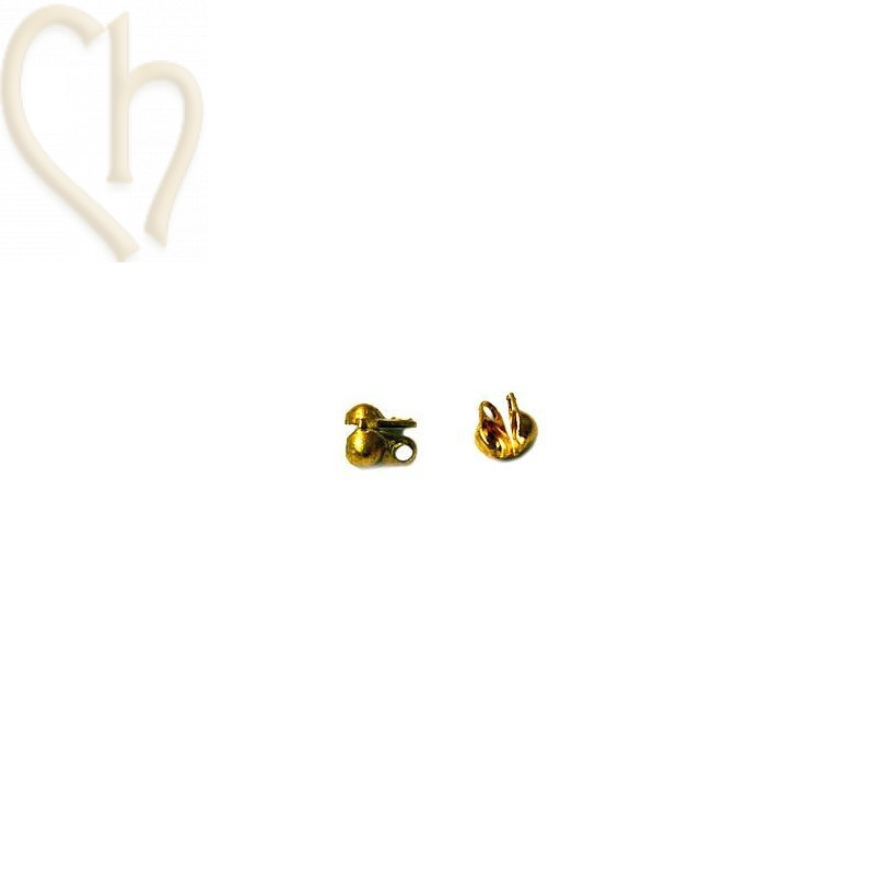 kettingknijpkraal klein 