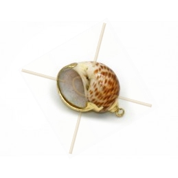 Hangertje Schelp coquillage Shell 25mm Gold Plated