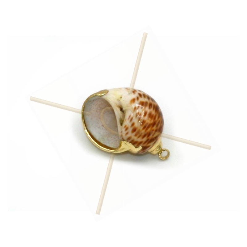 Hangertje Schelp coquillage Shell 25mm Gold Plated